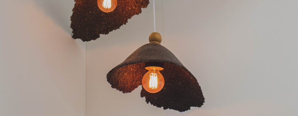 Safest Light Bulbs for Your Home